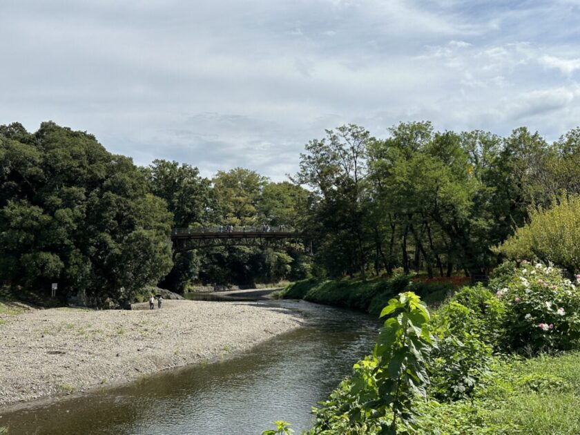 高麗川