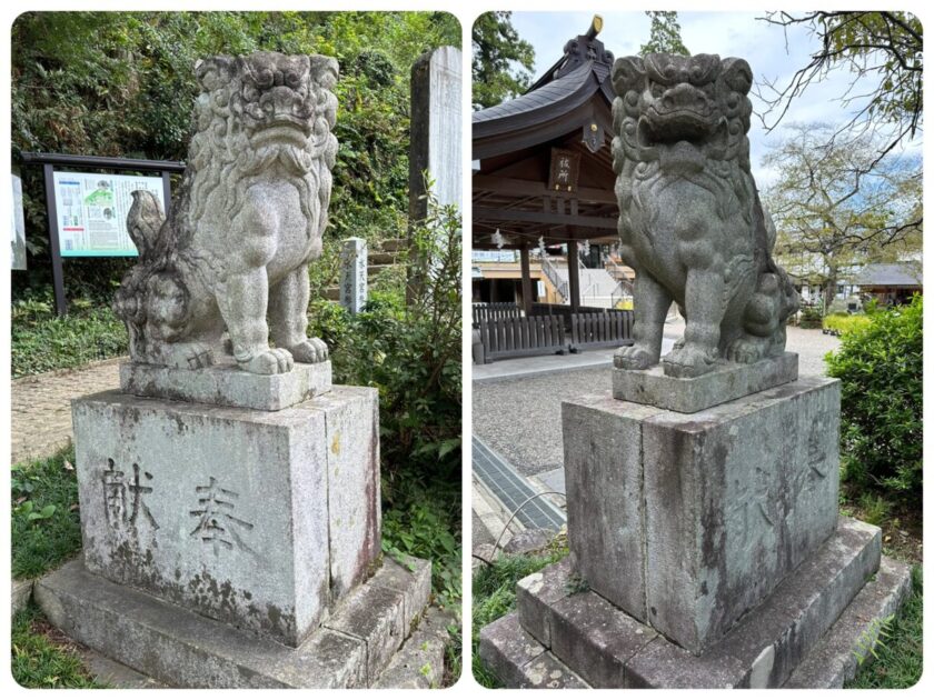 高麗神社の狛犬