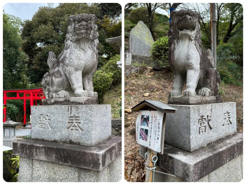 足利織姫神社　狛犬