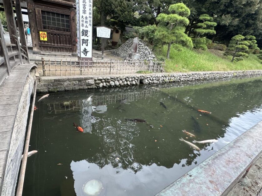 鑁阿寺(ばんなじ)