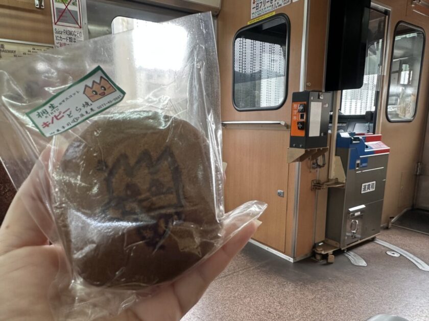 わたらせ渓谷鉄道車内