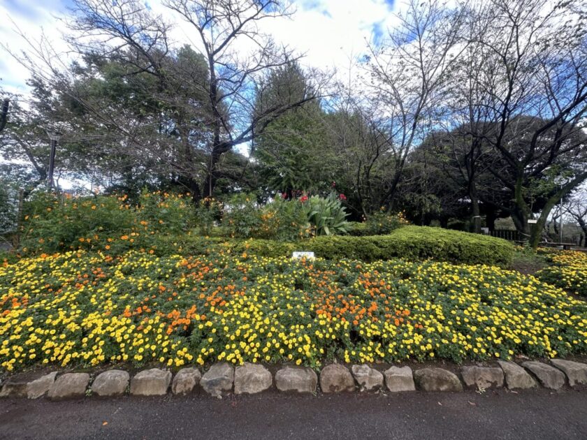 飛鳥山公園