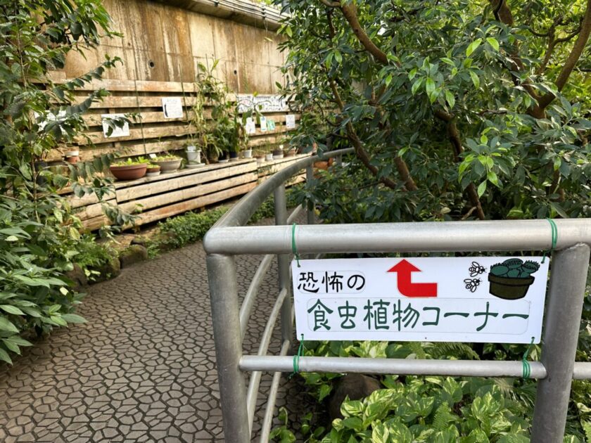 恐怖の食虫植物コーナー