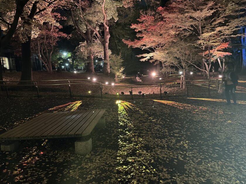 飛鳥山公園紅葉ライトアップ