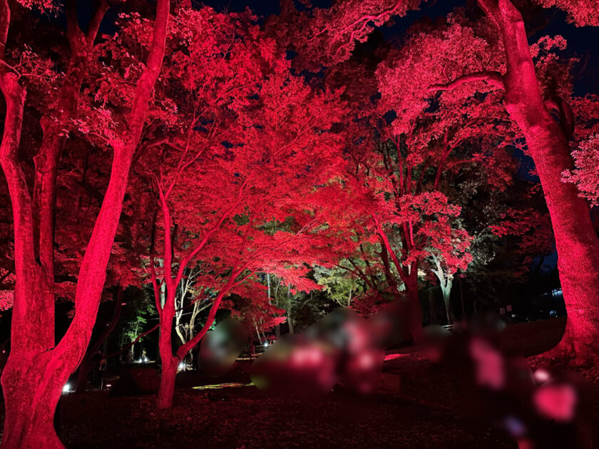 飛鳥山公園 紅葉ライトアップ