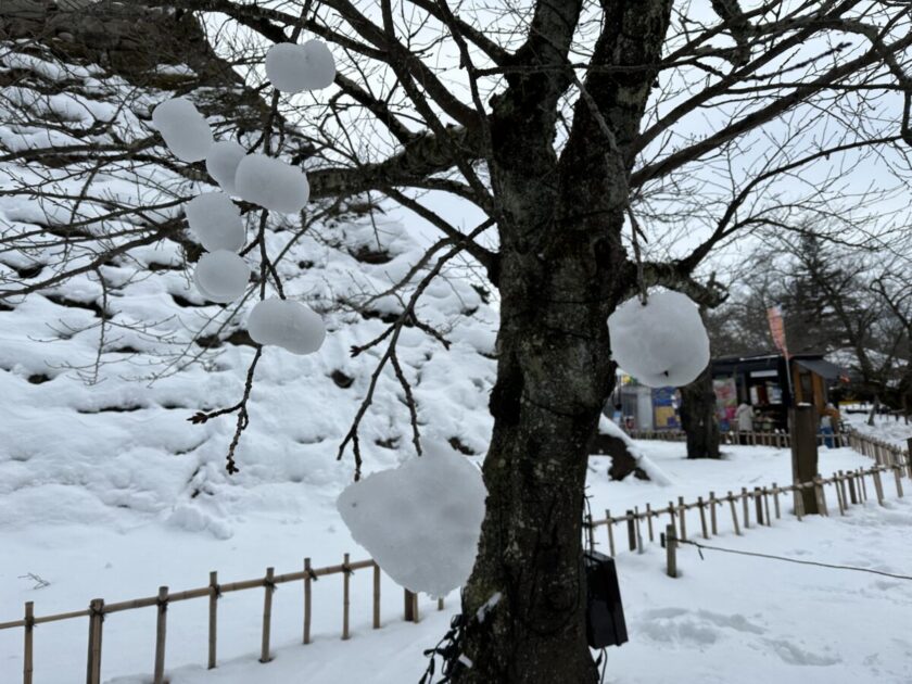 鶴ヶ城 雪