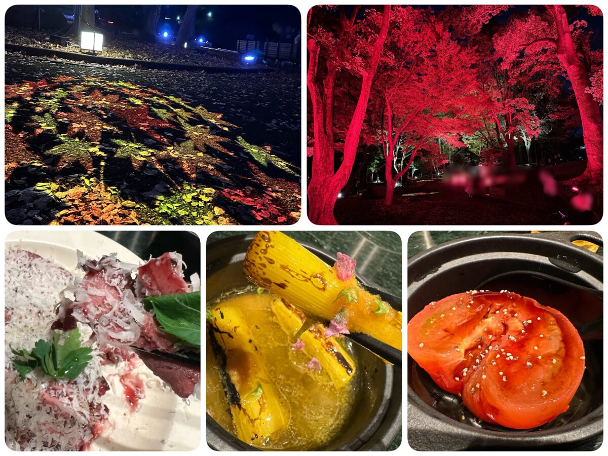 飛鳥山公園紅葉ライトアップ＆エプロンマーク@東京